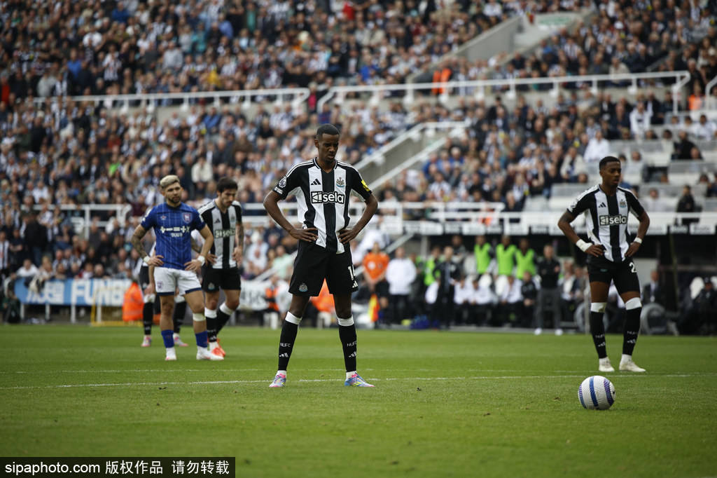 团队合作的 团队合作的