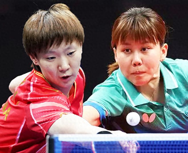 供了宝贵的 供了宝贵的